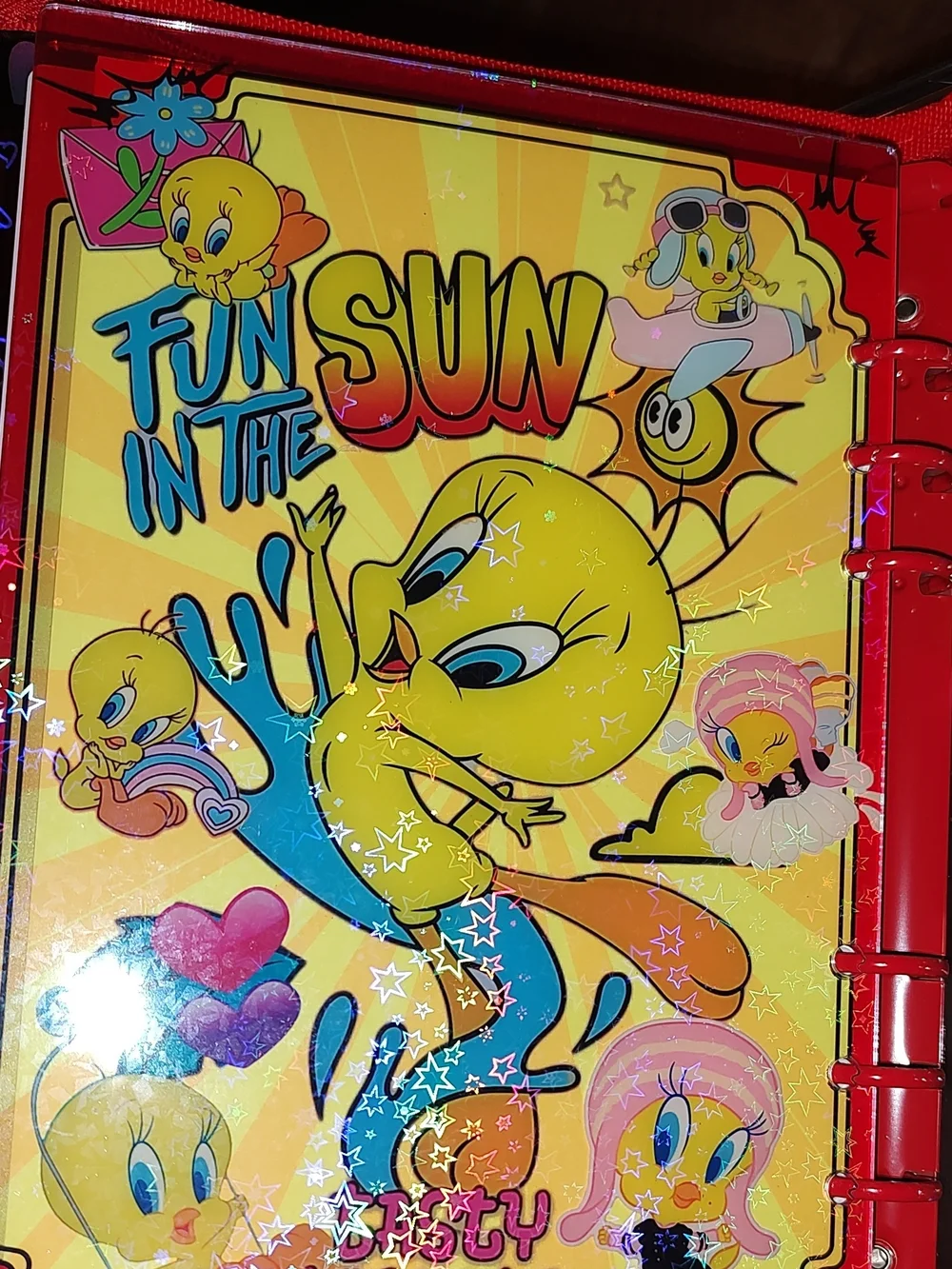 New! A5 Size Tweety Bird Acrylic Shaker Notebook